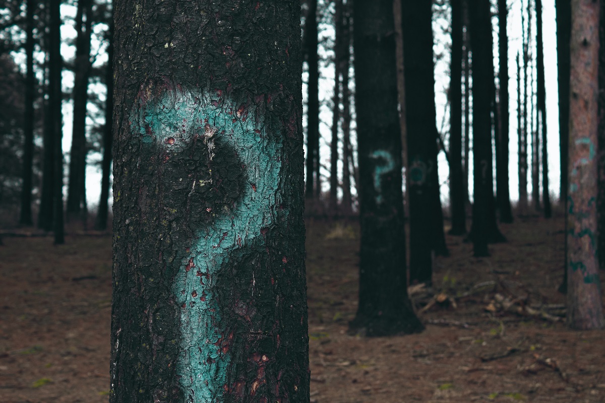 Why write a non-fiction book symbolized by trees with question marks
